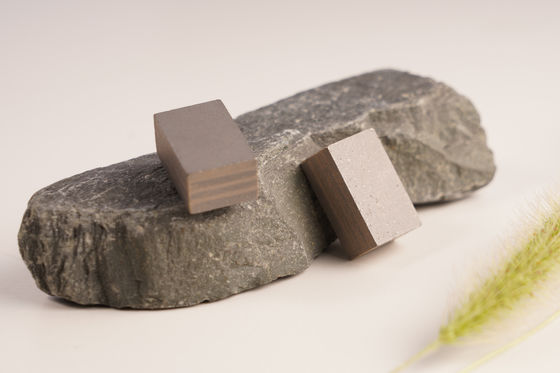 Flat Form Indonesia Segmento di arenaria 24*9*15mm Disco singolo Tagliatore di arenaria Punti Segmento di strato sandwich
